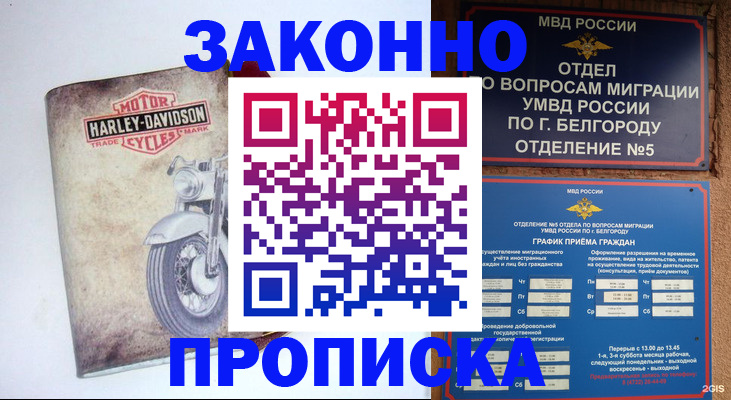 прописка для школы в Славянске-на-Кубани